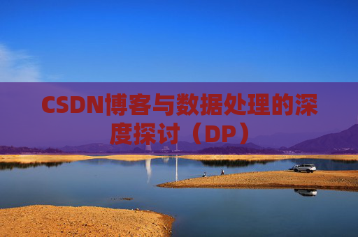CSDN博客与数据处理的深度探讨（DP）